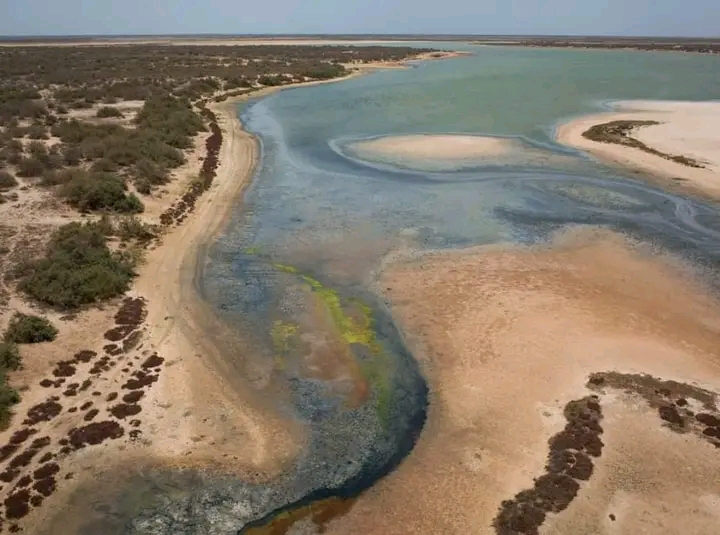 Le Parc national du Diawling 3