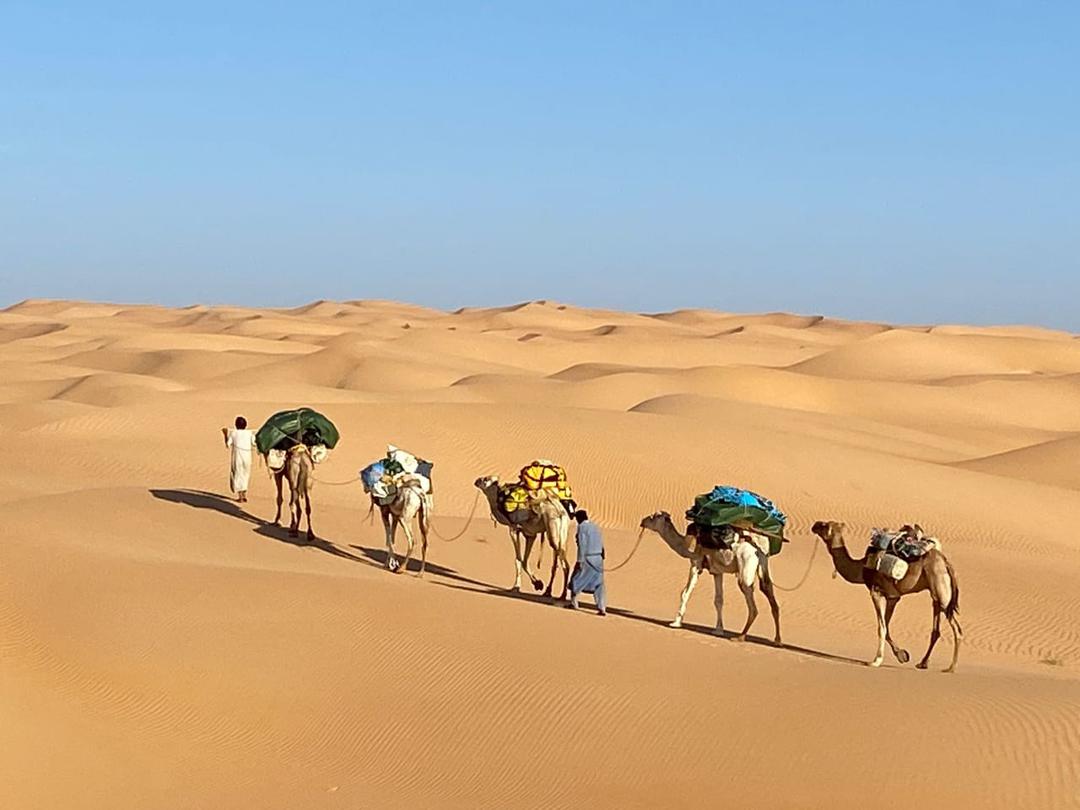 Circuit en randonnée — oasis de l’Adrar